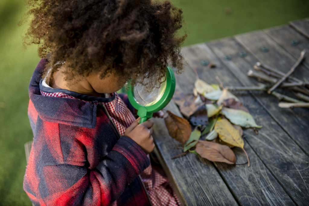 A child studying leaves through a magnifying glass