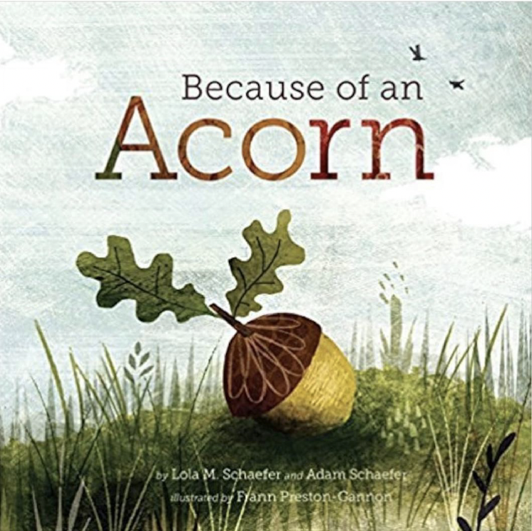 because of an acorn