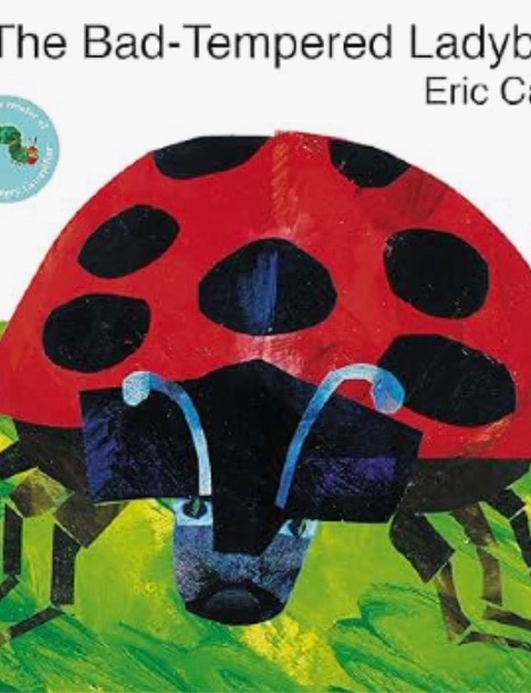 Bad tempered Ladybird